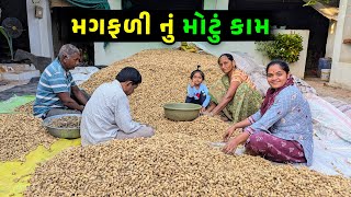 મગફળી નું મોટું કામ 🤩 રંગોળી બનાવી 🤔 Jalpa Ahir vlogs [upl. by Eihtak703]