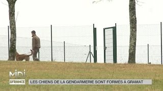 ANIMAUX  Les chiens de la gendarmerie sont formés à Gramat [upl. by Yeclehc]