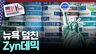 엔비디아 판 드러켄밀러의 픽진데믹의 주인공 필립모리스  바이아메리카 in 뉴욕 [upl. by Dallman318]