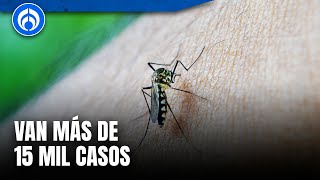 Casos de dengue en México se multiplican en 2024 [upl. by Adnat508]