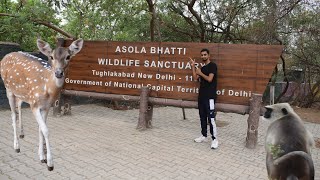 Asola Bhatti Wildlife Santuary 2024  Neeli Jheel Faridabad  Wildlife Sanctuary in Delhi [upl. by Oletha]