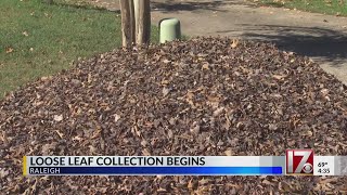 Loose leaf collection begins [upl. by Monty174]