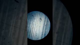 Study of marble in thin section under miscroscope [upl. by Cohl645]