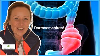 Mechanischer oder paralytischer Ileus [upl. by Aeila989]