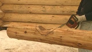 Building log cabin How to cut notches [upl. by Aseel680]