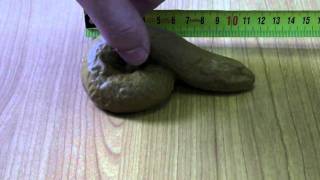 Realistic StickyShit Fake Rubber Poop [upl. by Nosneh]