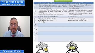 15 Neck spaces related to the pharynx Part B [upl. by Eleynad]