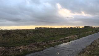 Ackerdijkse Plassen natuurgebied in Oude Leede Pijnacker [upl. by Savanna]