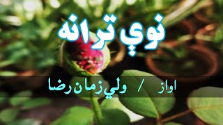 Sha Mubarak Khoshali Malgaro  Raza Wazir Pashto Tarana  Nawe Tarana 2021 [upl. by Harding]