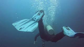 Diving at Kicker Rock near San Cristobal Island Galapagos sunfish Mola Mola [upl. by Busiek638]