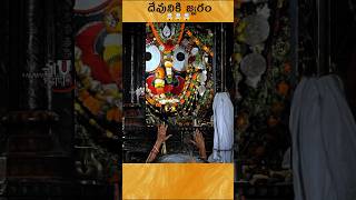 🤯Shocking Truth Behind Lord Puri Jagannath Fever [upl. by Oflunra719]