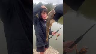 Terrigal lagoon season fishingisacontactsport flathead flatheadfish [upl. by Eba]