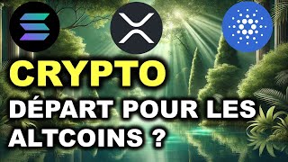 ESTCE LE DEBUT DE LA SAISON DES ALTCOINS  ACTUS CRYPTO 22112024 [upl. by Onafets296]