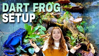 Setting Up My Poison Dart Frog Enclosure Dart Frog Journey Part 4 [upl. by Nerek]