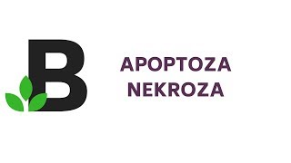 APOPTOZA a NEKROZA  śmierć komórki  KOREPETYCJE z BIOLOGII  36 [upl. by Yreva]