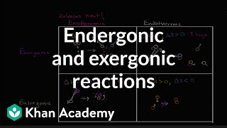 Endergonic exergonic exothermic and endothermic reactions  Khan Academy [upl. by Philips]