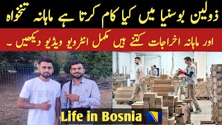 Jobs in Bosnia for Pakistani 2024  Monthly income and Salaries  Work in Bosnia and Herzegovina [upl. by Acirema390]