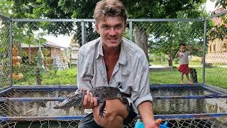 one of the rarest crocodilians on earth siam crocodile [upl. by Atirabrab]