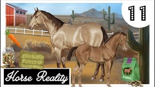 Horse Reality HR UNSERE eigene FIRMA 🤑  Lets Play 11 DEUTSCH [upl. by Albric]