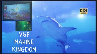 VGP Marine Kingdom [upl. by Nagy]