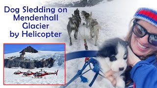 Glacier Helicopter and Dog Sledding Adventure Juneau Alaska [upl. by Midan]