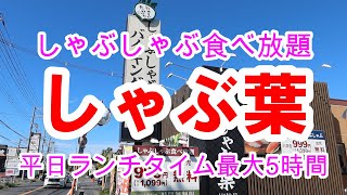 おやさいたっぷり「しゃぶ葉」しゃぶしゃぶ食べ放題ランチタイム平日は最大5時間！ [upl. by Onaicram]