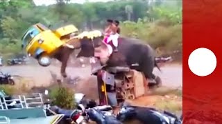 Elephant goes on rampage flipping 27 vehicles India [upl. by Enifesoj238]