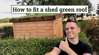 How to fit a green roof to a garden shed [upl. by Aivonas]