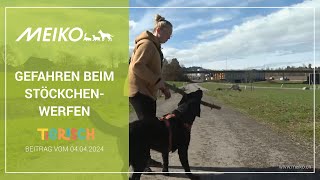 Gefahren beim Stöckchenwerfen – tierisch Beitrag vom 04042024 [upl. by Elvyn]