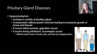 Endocrine Diseases and Disorders  Part 1 [upl. by Griffis938]