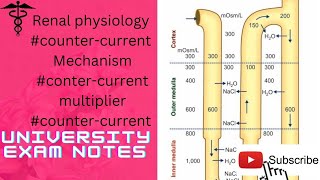 countercurrent mechanismcountercurrent multipliercountercurrent exchanger [upl. by Yesnel990]