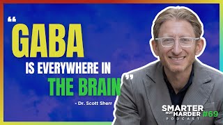 GABA Explained The Most Important Neurotransmitter ft Dr Scott Sherr  SNH Podcast 69 [upl. by Nivag]