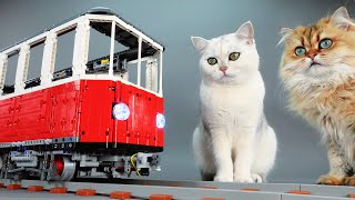 Building a CatSized Lego Train [upl. by Inaffets]