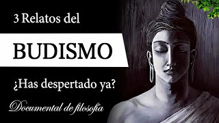 3 RELATOS BUDISTAS Documental de Filosofía  ¿Qué es la PAZ PERFECTA y la CONCIENCIA MORAL [upl. by Delcina]