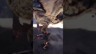 MHW LEGIANA legiana mhw mhworld mhw2024 monsterhunter monsterhunterworld monsterhunt [upl. by Idaf]