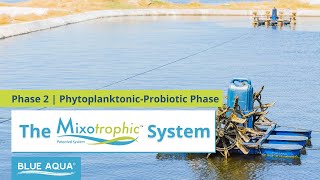 Mixotrophic™ System Phase 2  PhytoplanktonicProbiotic Phase [upl. by Jann]