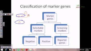 Reporter genes and their importance [upl. by Whiting]