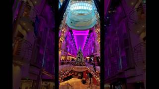 MARINER OF THE SEAS CRUISE trending travel cruise youtubeshorts reels fyp viralvideo shorts [upl. by Mcloughlin]