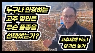 명인이 선택한 2024 고추종자 8가지 고추품종은 [upl. by Isis]