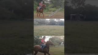 así fue mi regreso en mi sueño de ser jinete 🏇🏻🐴🥹 [upl. by Zere]