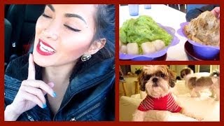 Sleepover Shaved Snow amp RED LIPS Vlogmas 14  ThatsHeartTV [upl. by Kehr429]