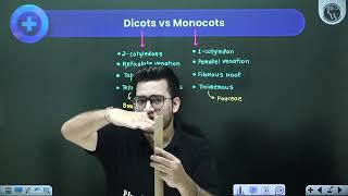 Anatomy of Flowering Plants 04  Dicot Root vs Monocot Root  NO DPPmp4 subscribe [upl. by Sajet511]