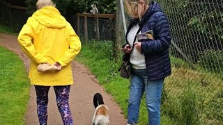 Family encounters a clingy lemur while exploring South Lake Safari Zoo  WooGlobe [upl. by Diao899]