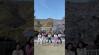 KPOP COVER DANCE  Red Velvet  Feel my rhythm  초등교사 춤 연구회 닻 DOT [upl. by Caton773]