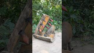 Amazing Wild Boar Trap  The Power Pig Trap Make from Big Wood animals wildlife shorts [upl. by Anade]