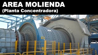 Molienda Operación y Mantenimiento Básico de Planta Concentradora [upl. by Midian]