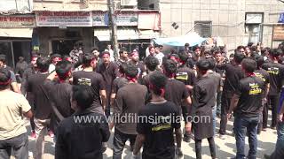 Muslims commemorate holy day of Ashura in India [upl. by Sualohcin]