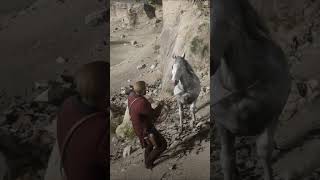 RDR2 LEGENDARY Horses Location pt2 rdr2 shorts [upl. by Iznekcam]