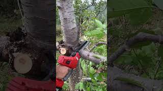 Rechargeable lithium chainsaw electric sawchainsaws hardwaretoolsviralvideo foryou [upl. by Airb604]