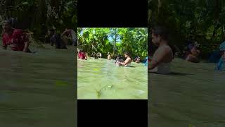 Best Traditional Fishing shorts viral fish shortsvideo fishingvideo funny tranding [upl. by Aelhsa212]